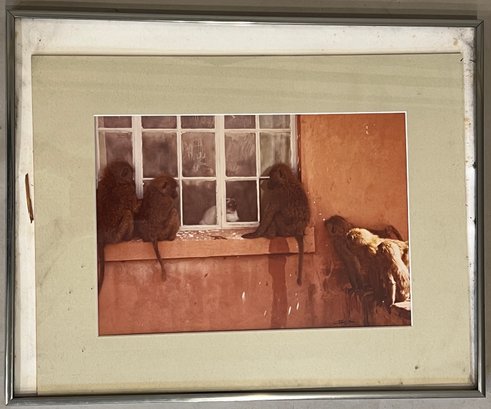 Haig Akmakjian Photograph Monkeys On Windowsill With Cat