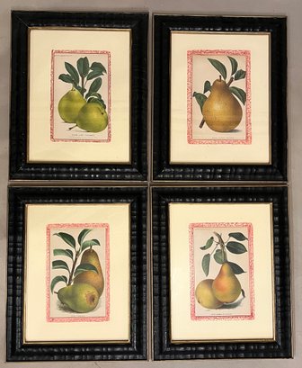 Set Of Four Vintage Pear Prints
