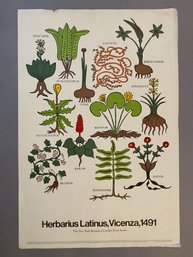 Herbarius Latinus, Vincenzo 1491 The New York Botanical Garden Print Series