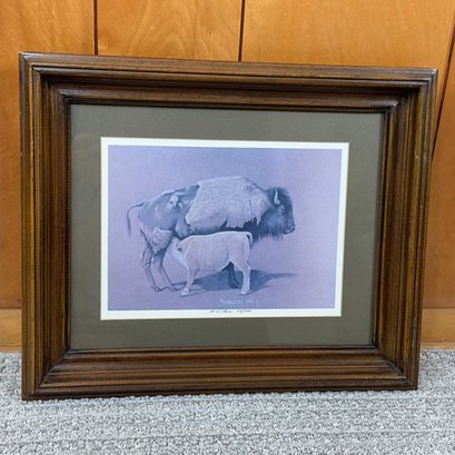 Framed Buffalo And Nursing Calf Print