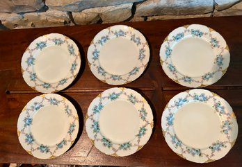 VERSAILLES BAVARIA SET OF 6 HAND PAINTED BLUE FLORAL SALAD/BREAD PLATES