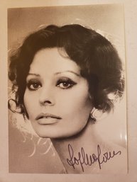 SOPHIA LOREN VINTAGE 4' X 6' SIGNED AUTOGRAPH PHOTO From 1980s