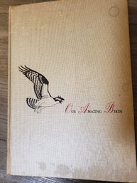 Our Amazing Birds By Robert S. Lemmon 1952 Hardcover