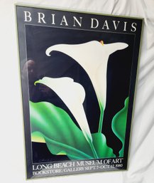 Rare.....1980s Long Beach Museum Of Art Brian Davis Exhibition Poster Original Glass Frame