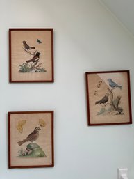 3  Antique Framed Nature Prints - BRF