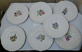 #195 Lot Of 7 Royal Cauldon Plates 9.5'