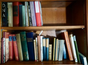 #348 2 Shelves Of Books