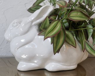 (Upper Level) Bellini Ceramic Bunny Planter