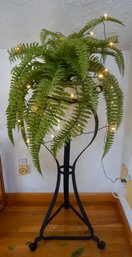 (Upper Level) Wrought Iron Plant Stand, Plant & Lights