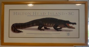 B Framed Hilton Head Alligator 34 X 18