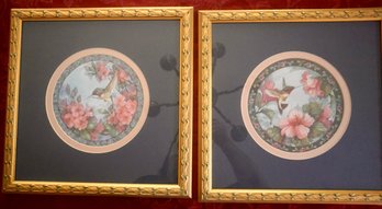 DR648  Pair Of Decorative Hummingbird's Prints 18 X 18