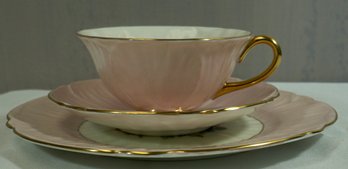 #31- Shelley Trio - Fruit / Pink - Cup/ Saucer Under- Plate