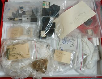 014  Box Lot Of Rocks & Mineral Specimans Over 30