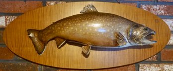 D#319 Mounted Rainbow Trout 28'L X 11'W