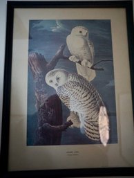 Pair Of Snowy Owl & Egret Print 16 X 21 (Hallway Back Stairs)