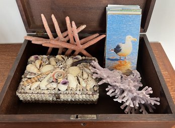 Antique Wood Box Filled With Seashore Items - Plum Island Magnets (12) - Shell Box - Starfish & Coral