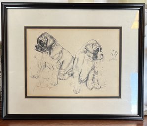 Framed Rosemarie Mazzei 1993 Boxer Puppies Sketch 16.25' X 13.25'