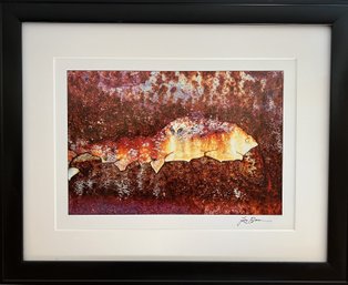 Jennifer Barr Signed Original Artwork Colorful Abstract Fish Professionally Framed Museum Glass 14.5' X 11.5'