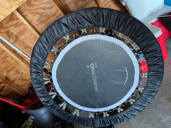 Maximus PRO Exercise Rebounder Like New - G