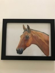 Pastel Of Horse