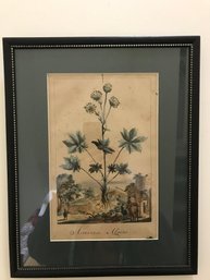 Antique Plant Sample & Countryside- Etching?