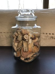 Interesting 9' Glass Jar- Shells & Coral