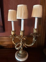Incredible Pair Of Rococo Style Gilt Bronze Lamps -dR6