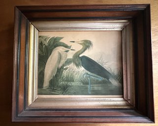 Walnut Framed Egrets Print - OFF3D