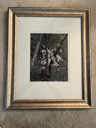Framed Signed Photograph By Ronald Bertram ? Dated 1979 - 74