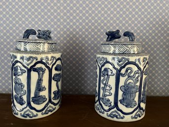 Pair Of Two Blue And White Chinese Ceramic Decanters - 76