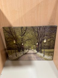 #82 Lighted Parkway Canvas - Battery Operated 17 X 13