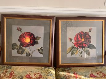 BOMBAY COMPANY . Framed Floral Prints .
