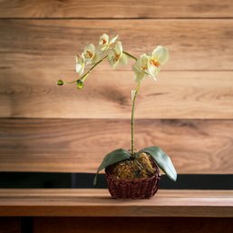 #929 Artificial Potted Orchid