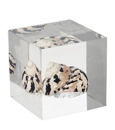 #90 Pair OKA Concha In Acrylic Home Decor Cubes