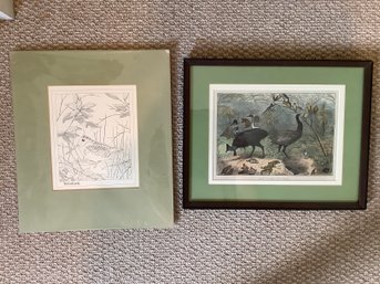 Framed Group Of Birds & Animals Plus New Woodcock Sketch - A39
