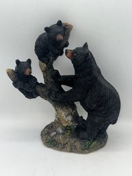 A Family Of Bears On A Tree Limb