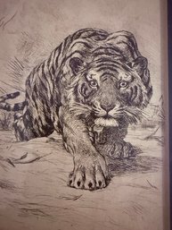 Original Illustration Pen And Ink Tiger EXCEPTIONAL Approx 4 X 6'