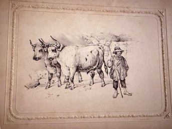 RARE! Original Illustration Of 2 Bulls With Caretaker  Signed Lower Left Emile Minet Listed Artist