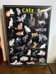 Framed Poster Of Cat Breeds By Lia Stein