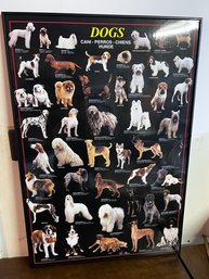 Large Poster Of Dog Breeds By Lia Stein