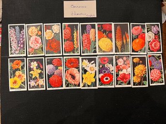 A Set Of 18 Carreras English Flower Cards