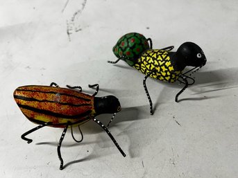 2 South American Bugs!
