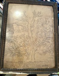 1600's Framed Family Tree Through 1918!  Approx 28 X 38