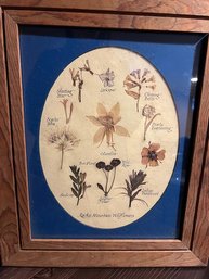 A Framed Rocky Mountain Wildflowers Sampler