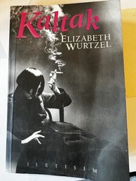 Kaltak Istanbul Edition (bitch In Praise Of Difficult Women)
