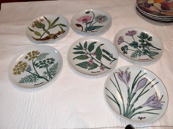 Group Of 6 Dessert/luncheon Plates By Shafford