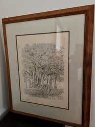 Framed Kona Banyan Tree Litho 1981 Dan Dwitt