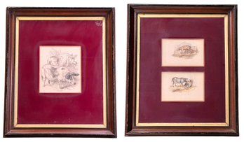 THREE (19th C) PIG PRINTS In (2) FRAMES