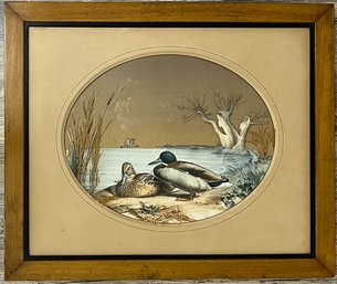 (19th C) COLLAGED & SCULPTED DUCK LITHO SHADOWBOX