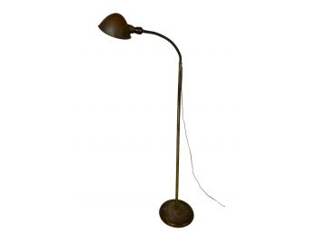 BRASS GOOSE NECK READING FLOOR LAMP